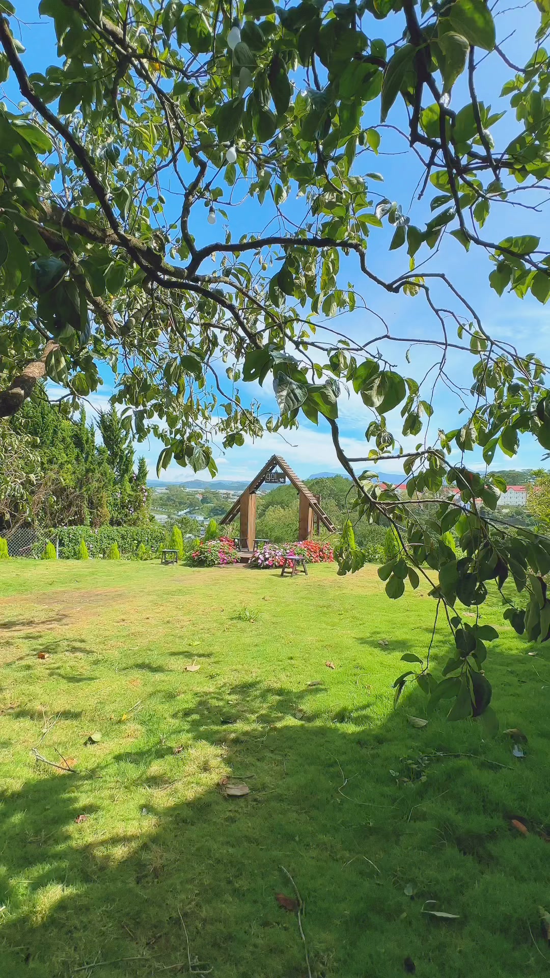 [☕️🇻🇳] Ngày của Nắng Coffee+ 🥤 Top1Coffee ☕️ Nhắm mắt một cái là gần hết mùa Hè. #dalat
, shares-0✔️ , likes-0❤️️ , date-2024-08-18 22:16:33🇻🇳🇻🇳🇻🇳📰🆕