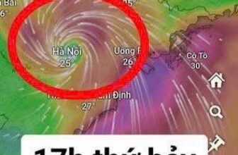 [???] GOFIT – Ngọc Lâm Long Biên – HỆ THỐNG PHÒNG TẬP DÀNH RIÊNG CHO NỮ ? Top1Yoga ??‍♀️ MƯA BÃO CHỊ EM CẨN THẬN NHA
Siêu bão số 3 sắp đổ bộ vào đất liền dự kiến các tỉnh ảnh hưởng trực tiếp là Hải phòng, Quảng Ninh, Nam Định, Thái Bình và các  , shares-0✔️ , likes-0❤️️ , date-2024-09-07 15:49:10????????