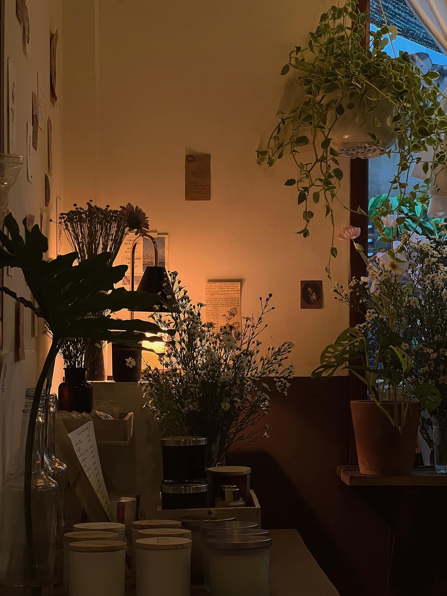 [☕️🇻🇳] Deadline Coffee 🥤 Top1Coffee ☕️ Tự dưng muốn hỏi cậu một vài điều về mùa thu,
chẳng hạn như thạch thảo sẽ nở trong bao nhiêu ngày?
phải đợi bao lâu thì quả hồn , shares-1✔️ , likes-16❤️️ , date-2024-09-11 22:48:14🇻🇳🇻🇳🇻🇳📰🆕