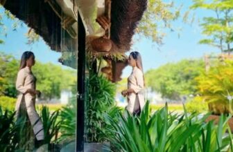 [🆕🇻🇳] QK Complex – Nhà hàng – Event – Bar Cafe – Spa 🍔 Top1Food  🍜 Chill chill quá Qua QK Complex ngay thôi ạ, tận hưởng ốc đảo xanh mát ngày hè với nhiều đồ ăn ngon và thức uống hấp dẫn  ————— 𝑸𝑲 𝑪𝑨𝑭𝑬́ & 𝑹𝑬𝑺 , shares-0✔️ , likes-0❤️️ , date-2024-09-17 16:32:21🇻🇳🇻🇳🇻🇳📰🆕