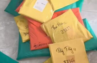 [🆕🇻🇳] KHO TONI KIDS 0906747159 🧑‍🧒❤️️👶⭐️ Cảm ơn cả nhà lên đơn
, shares-0✔️ , likes-4❤️️ , date-2024-09-19 22:50:21🇻🇳🇻🇳🇻🇳📰🆕