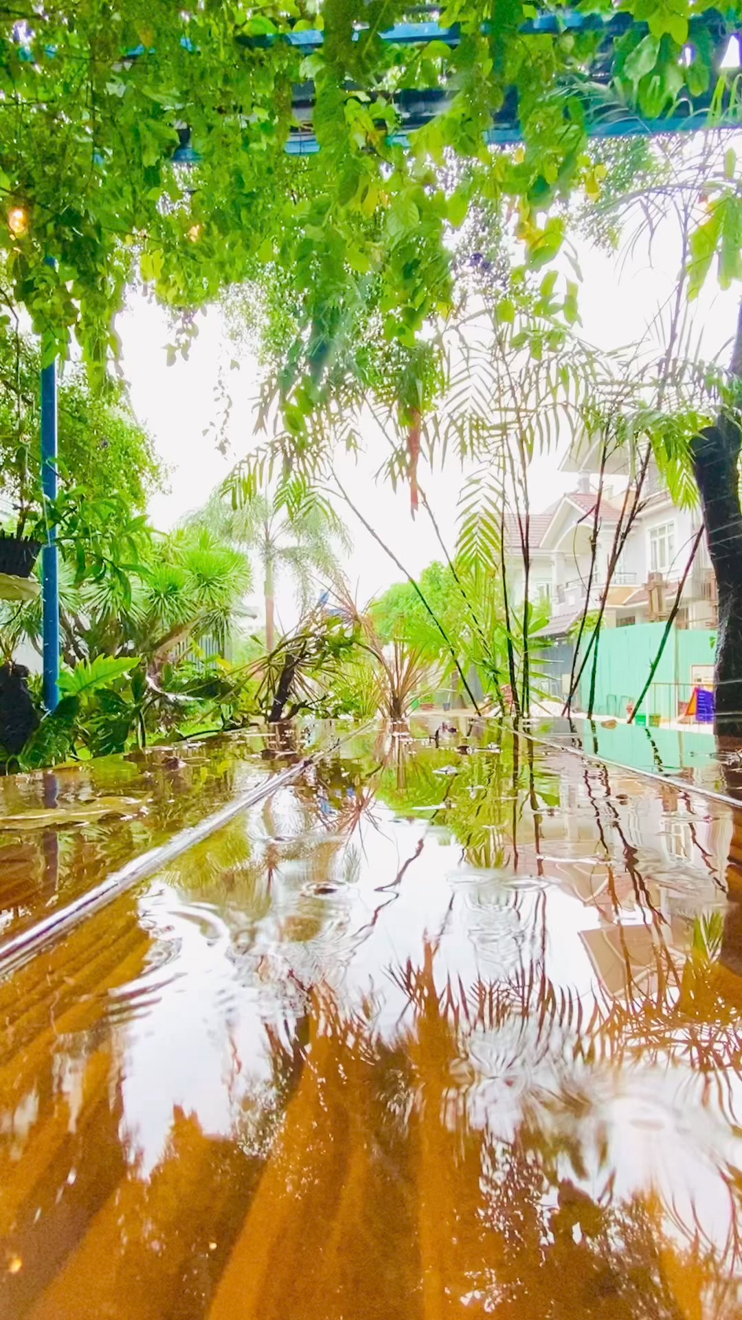 [☕️🇻🇳] Gu Coffee – Cung cấp và kinh doanh cafe sạch pha máy nguyên chất 100% 🥤 Top1Coffee ☕️ Siêu phẩm NBA 2K25 cho anh em chơi tại các cơ sở của Gu#NBA2K25 #Gushop #GuPlayStation #ps5
, shares-0✔️ , likes-0❤️️ , date-2024-09-26 16:43:28🇻🇳🇻🇳🇻🇳📰🆕