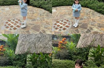 [???]  Đỗ Phương Thanh  ?‍?❤️️?⭐️ Nhá tạm 1 số siêu phẩm có trong live ạ
Hàng hè lẻ size sà lé dưới 100kk vô cungg nhìu
100 món quà tặng( tất, phụ kiện…)
Page mới chuyên liveeee, cá , shares-0✔️ , likes-0❤️️ , date-2024-11-17 19:53:06????????