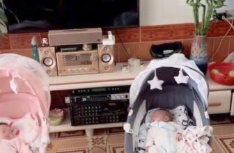 [🆕🇻🇳] Kitty Shop – Chuyên Thời Trang Cho Bé Từ Sơ Sinh 🧑‍🧒❤️️👶⭐️ Nhà anh khách đúng điểm 10 luôn a. Sinh đôi 1 bé trai 1 bé gái quá là đáng yêu luôn . Trộm vía con sử dụng sản phẩm nôi ru ngủ nhà Kitty Shop cưng quá a
, shares-0✔️ , likes-16❤️️ , date-2024-10-08 00:53:47🇻🇳🇻🇳🇻🇳📰🆕