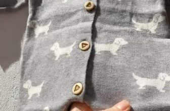 [🆕🇻🇳] SHOP MẸ CHÍP – chuyên cung cấp quần áo và phụ kiện cho mẹ và bé rẻ, đẹp 🧑‍🧒❤️️👶⭐️  , shares-0✔️ , likes-3❤️️ , date-2024-10-22 19:31:31🇻🇳🇻🇳🇻🇳📰🆕