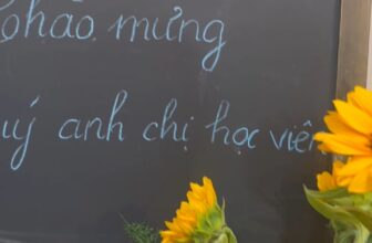 [???] Connect & Inspire Yoga ? Top1Yoga ??‍♀️ Hành trình nền tảng của một nhà trị liệu Yoga vững vàng & thông suốt, bạn nhé.
, shares-0✔️ , likes-0❤️️ , date-2024-10-24 02:02:09????????