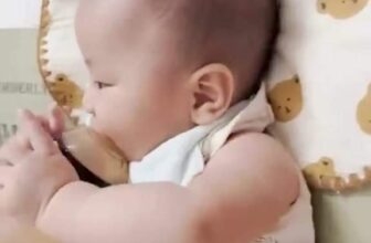 [🆕🇻🇳]  Kamidi Việt Nam – Sự lựa chọn hàng đầu của mẹ bầu Việt 🧑‍🧒❤️️👶⭐️  , shares-0✔️ , likes-2❤️️ , date-2024-10-22 00:31:58🇻🇳🇻🇳🇻🇳📰🆕