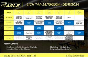 [???] Eagle Fitness & Yoga 255 Kim Ngưu ? Top1Yoga ??‍♀️ 𝐓𝐇𝐎̂𝐍𝐆 𝐁𝐀́𝐎 𝐋𝐈̣𝐂𝐇 𝐓𝐀̣̂𝐏 𝐂𝐀́𝐂 𝐋𝐎̛́𝐏
Eagle Fitness xin gửi Quý hội viên lịch tập các lớp từ ngày 28/10/2024 đến ngày 03/11/2024
Kính chúc tất cả quý hội viên , shares-0✔️ , likes-5❤️️ , date-2024-10-28 02:17:53????????