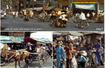 [🆕🇻🇳] Góc Xưa Nét Cũ ♥️️ Top1Life 📚  Đây là khu chợ nằm lọt thỏm giữa trung tâm Sài Gòn và đã chứng kiến bao nhiêu sự đổi thay từ cuối thế kỷ 19, tròn thế kỷ 20 và n , shares-126✔️ , likes-11K❤️️ , date-2024-10-29 18:58:31🇻🇳🇻🇳🇻🇳📰🆕