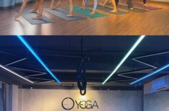 [???] Ed Yoga & Dance ? Top1Yoga ??‍♀️ Khám phá thêm trong Video
, shares-0✔️ , likes-11❤️️ , date-2024-11-02 02:06:00????????