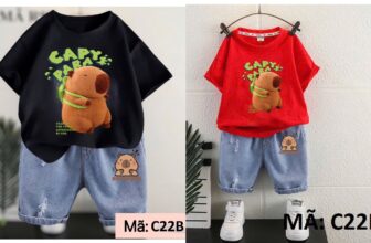 [🆕🇻🇳] Chi Store – Thời trang cho bé Yêu 🧑‍🧒❤️️👶⭐️  Bộ áo phông và quần jean trẻ em chỉ 100k – Siêu dễ thương cho bé từ 12kg đến 38kg!   Ưu đãi đặc biệt: Mua 5 bộ, tặng ngay áo phông hoặc mũ đáng yêu cho bé , shares-0✔️ , likes-20❤️️ , date-2024-11-01 04:32:15🇻🇳🇻🇳🇻🇳📰🆕