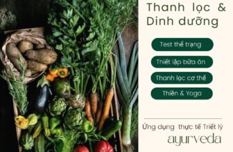 [???] CÂY – Yoga and Healing home  ? Top1Yoga ??‍♀️ THAM GIA KHOÁ “THANH LỌC & DINH DƯỠNG TOÀN DIỆN”  CUỐI NĂM
Những tháng cuối năm là một giai đoạn tốt để bạn thương cân bằng việc chạy theo các deadline côn , shares-4✔️ , likes-25❤️️ , date-2024-10-31 15:05:25????????