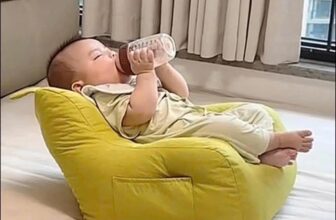 [🆕🇻🇳]  Voi Béo Store – Quần áo trẻ em xuất khẩu, xuất dư, hàng thiết kế cho bé 🧑‍🧒❤️️👶⭐️ Ghế lười cho bé,
Hôm trước em còn gom 255k
Hôm nay  Sale #155kkkkk 1ghế siêu xinh  cho bé
Kt 38*38*35 cm
Hàng od 2-4 tuần trả. Ko coc/ ko huy
VB06914 , shares-0✔️ , likes-0❤️️ , date-2024-11-03 01:31:56🇻🇳🇻🇳🇻🇳📰🆕