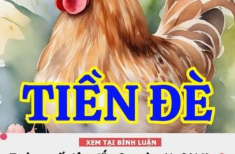 [🆕🇻🇳] Xưởng May Bánh Bao Kids – Cửa hàng quần áo sơ sinh & trẻ em 🧑‍🧒❤️️👶⭐️ 3 Con Giáp CHuẩn bị trúng số độc đắc tiền đè chết người Như Phượng hoàng sải cánh…
, shares-0✔️ , likes-0❤️️ , date-2024-11-04 01:30:24🇻🇳🇻🇳🇻🇳📰🆕