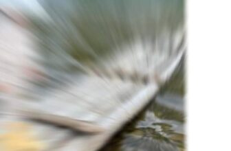 [???] Ann.tisiu – ???????? ??? ?????? & ???? ?‍?❤️️?⭐️ Comment “LazyBear” vào đây nhận mã giảm giá 10% set dài tay cho các mom, FREESHIP từ 2 bộ  Những set đồ năng động cùng chất liệu thoáng mát luôn đồng hành  , shares-0✔️ , likes-0❤️️ , date-2024-11-05 17:14:07????????