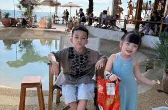 [🆕🇻🇳]  Hoàng Khánh Ly  ( VaniHouse Kids ) 🧑‍🧒❤️️👶⭐️ Ủa? Mấy bác điệng lực ơii..
Sao mấy bác kiu 6h coá điệng???
, shares-0✔️ , likes-134❤️️ , date-2024-11-04 01:38:19🇻🇳🇻🇳🇻🇳📰🆕