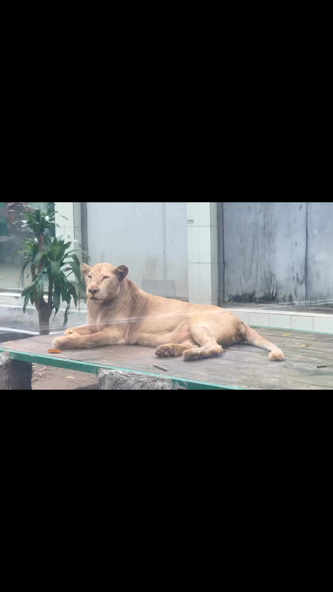 [🆕🇻🇳] ACCESSTRADE là nền tảng Tiếp thị liên kết (Affiliate Marketing) số 1 tại Việt Nam 💲 Top1MMO 🤑   LEVEL UP THU NHẬP VỚI BUỔI HỌC TEMU AFFILIATE CÙNG ACCESSTRADE 
Thị trường Affiliate Marketing Việt Nam đang bùng nổ, và TEMU – nền tảng thương mại điện t , shares-2✔️ , likes-14❤️️ , date-2024-11-06 00:12:36🇻🇳🇻🇳🇻🇳📰🆕