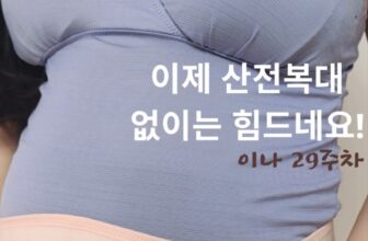 [🆕🇻🇳] MothersBaby – Thương hiệu mẹ và bé hàng đầu Hàn Quốc 🧑‍🧒❤️️👶⭐️  CẬN CẢNH CHẤT LIỆU ĐAI ĐỠ BỤNG BẦU MOTHERSBABYNhiều mẹ lo lắng đeo đai mặc áo bên ngoài sẽ bị lộ, nhưng với thiết kế đặc biệt của Đai đỡ bụng bầu nhà M , shares-0✔️ , likes-2❤️️ , date-2024-11-06 17:00:14🇻🇳🇻🇳🇻🇳📰🆕