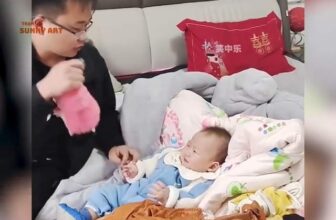 [???] Trạm Vẽ painting – Sunny art ? Top1Designs ✨  Những búp măng non dễ ngủ đáng yêu :)))
, shares-0✔️ , likes-21K❤️️ , date-2024-11-11 00:00:31????????