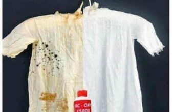 [???] Kho Buôn Hương Lê – Nhà máy sản xuất buôn lô hàng VNXK-Xuất dư,Oder hàng QCCC ? Top1Fashion ?  Vic-OXY X5000 – Tẩy Trắng Cao Cấp
Sỉ: #28kLink nhóm sỉ gia dụng cập nhật mẫu mới:Tẩy trắng quần áo X5000 là dòng tẩy trắng hàng đầu, với khả năng đánh , shares-0✔️ , likes-0❤️️ , date-2024-11-09 16:14:46????????