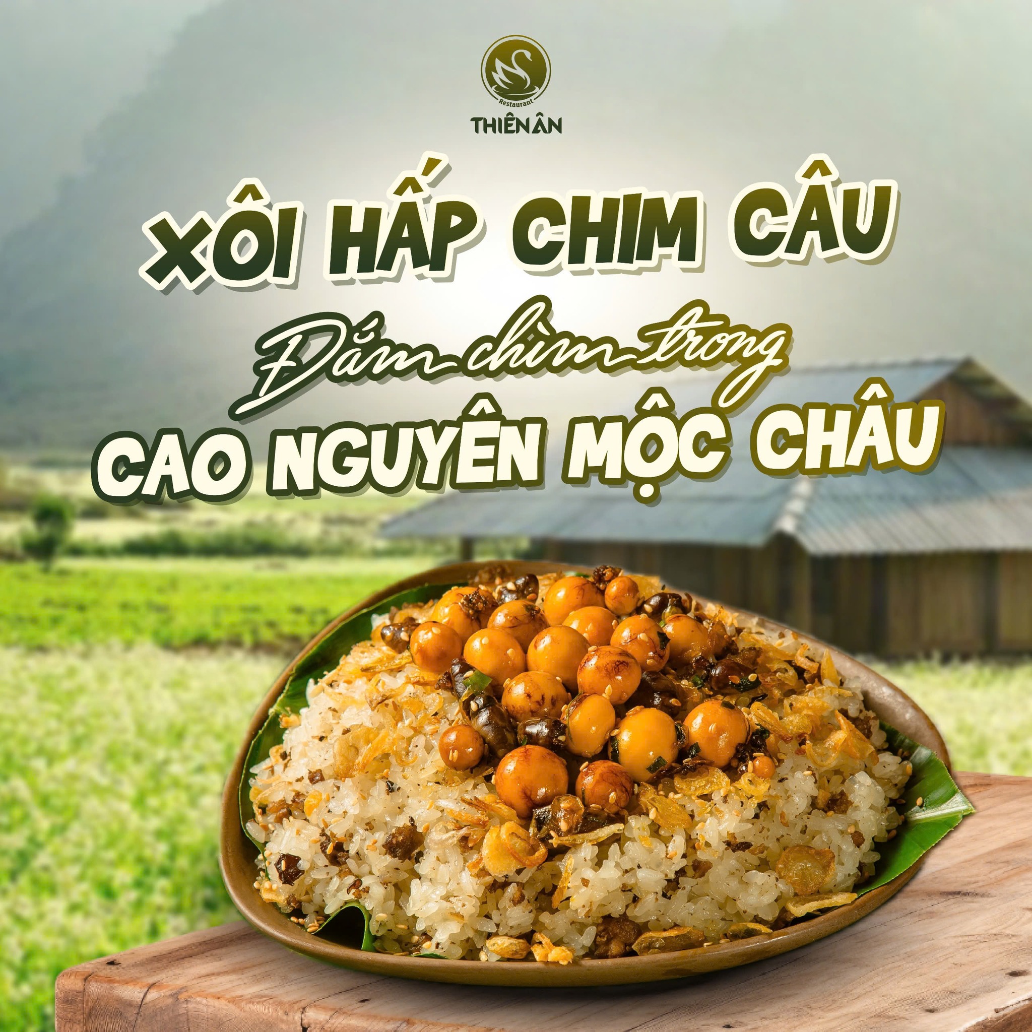 [🆕🇻🇳] Gà mẹt Hà Nội – 305 Trần Đại Nghĩa 🍔 Top1Food 🍜  NGAO DU TÂY BẮC CÙNG NHÀ HÀNG THIÊN ÂN 
Bạn đã sẵn sàng cho một hành trình khám phá các điểm check in nổi tiếng vùng Tây Bắc cùng Thiên Ân chưa? Mỗi mẹt g , shares-0✔️ , likes-0❤️️ , date-2024-11-08 20:15:25🇻🇳🇻🇳🇻🇳📰🆕