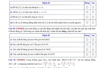 [🆕🇻🇳] Học Toán Lí cùng thầy Ái và Tư Duy Mở 📚 Top1Learn 📕 Thi KSCL ĐÁNH GIÁ TƯ DUY TSA TDM03
—————
Thực chiến tại web: Tuduymo.com\ Khoá TDMT2025\5 ĐỀ TSA
Thời gian làm bài: Từ 19h30 đến 21h CN ngày 10/1 , shares-19✔️ , likes-607❤️️ , date-2024-11-11 02:38:16🇻🇳🇻🇳🇻🇳📰🆕