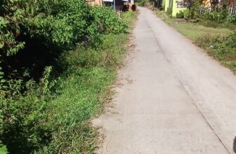 [🆕🇻🇳] Góc Xưa Nét Cũ ♥️️ Top1Life 📚  Xe ngựa trước đường Viénot (sau 1955 là đường Phan Bội Châu), trước chợ Sài Gòn)
, shares-0✔️ , likes-0❤️️ , date-2024-11-13 13:47:01🇻🇳🇻🇳🇻🇳📰🆕