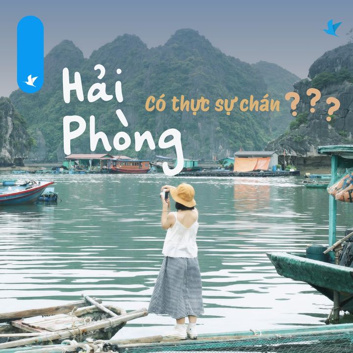 [✈🇻🇳] Traveloka Vietnam – Sống Trải Nghiệm ✈ Top1Travel 🌏 – #TravelokaKhamPha CÁT BÀ CÓ THỰC SỰ ĐÁNG CHÁN?🎉 Tiệc sale cuối năm – Đi đô …