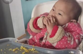 [🆕🇻🇳] TikTok Shop Vietnam  – Where Entertainment meets Commerce ♥️️ Top1Index 📚  PHÁP KIỀU NẮM LẤY MIC ĐAN TAY LÀ ĐẮM SAY NGAY HÔM NAY  Chấn động chuyến này, “Xà nữ” Pháp Kiều sẽ đem bản hit mới nhất của mình lên sân khấu Live Vui Vô Đố , shares-1✔️ , likes-86❤️️ , date-2024-11-11 00:28:57🇻🇳🇻🇳🇻🇳📰🆕