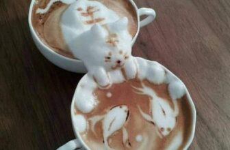 [🆕🇻🇳]  Shop Bé Xinh Hồng Hồng – Chuyên thời trang mẹ và bé ! Hàng Việt Nam giống hình 100% 🧑‍🧒❤️️👶⭐️ SEO đồ bé ạ , shares-3✔️ , likes-5❤️️ , date-2024-11-03 20:11:08🇻🇳🇻🇳🇻🇳📰🆕