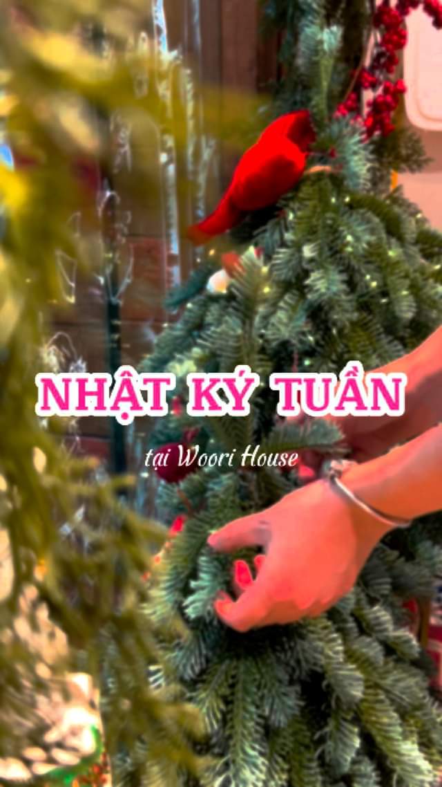 [🆕🇻🇳] Woori House – Babies, Kids &  Moms  – Tất cả cho con ♥ 😎❤️️⭐️ Tuần qua Woori có gì mà khiến nhiều nàng bất ngờ thế nhỉ 
  Woori House – Tất cả cho con: 24/98 Thái Hà, Hà Nội
 , shares-0✔️ , likes-0❤️️ , date-2024-11-11 04:00:55🇻🇳🇻🇳🇻🇳📰🆕