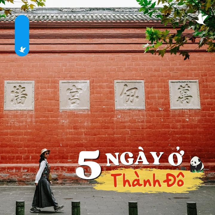 [✈🇻🇳] Traveloka Vietnam – Sống Trải Nghiệm ✈ Top1Travel 🌏 – 🌸Về Thành Đô Hoàng Quốc – thành phố hạnh phúc nhất Trung Hoa🌸🏖 ĐI DU  …