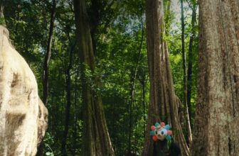 [🛍️🇻🇳] Lazada là trang mua sắm trực tuyến uy tín hàng đầu tại Việt Nam 🛍️ Top1Shop ❤️️ – Người ta đi rừng thì chơi vơi, còn Lazzie đi rừng chơi hoài chẳng thấy vơi 🌿 …