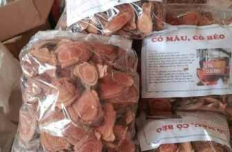 [🆕🇻🇳] Sapporo Vietnam 🍻 Top1Drink 🥂 TUYỆT TÁC KHOÁC “ÁO MỚI”, VỚI THÔNG ĐIỆP ĐÓN LỄ HỘIMùa lễ hội đang đến gần, thùng Sapporo Premium Beer vừa kịp khoác lên mình diện mạo rực rỡ đón Giáng , shares-7✔️ , likes-129❤️️ , date-2024-11-06 03:30:03🇻🇳🇻🇳🇻🇳📰🆕