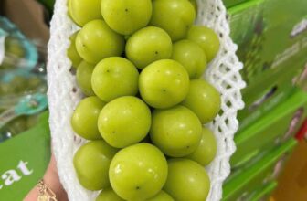 [🆕🇻🇳] Hoa Quả 4Mùa – Cửa hàng rau quả 🍔 Top1Food  🍜  NHO MẪU ĐƠN ( hàng VIP chùm lớn chuẩn thùng ạ )  trái tròn căng , tươi ngon, cứng trái ngọt  rất thơm.Chùm nho  bắp to đẹp lung linh thích hợp đi bi , shares-0✔️ , likes-0❤️️ , date-2024-11-22 18:14:27🇻🇳🇻🇳🇻🇳📰🆕
