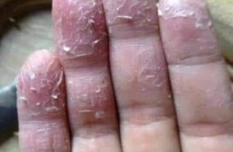 [???] Eagle Fitness & Yoga 255 Kim Ngưu ? Top1Yoga ??‍♀️  , shares-0✔️ , likes-2❤️️ , date-2024-10-31 17:46:29????????