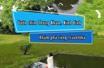 [✈🇻🇳] Traveloka Vietnam – Sống Trải Nghiệm ✈ Top1Travel 🌏 – cần chi đi đâu xa xôi, Việt Nam có nơi phong cảnh hữu tình như này nè bạn ơi!  …
