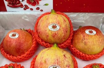 [🆕🇻🇳] Paul’s Healthy Fruits – Cửa hàng rau quả 🍔 Top1Food  🍜 Làm không chơi đánh rơi tuổi trẻ
Chơi không làm thấy khỏe hẳn ra.
#TamĐảongàytrởgió
, shares-0✔️ , likes-1❤️️ , date-2024-11-22 22:20:19🇻🇳🇻🇳🇻🇳📰🆕