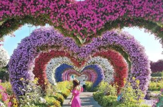 [???] Mint Care HCM  ? Top1Yoga ??‍♀️ Bạn biết không?
Thật ra, sự chữa lành không nằm ở khoảng cách mà là ở khoảnh khắc bạn cho phép chính mình được yêu thương và chăm sóc.Đâu cần phải đi đ , shares-0✔️ , likes-2❤️️ , date-2024-10-17 02:30:19????????