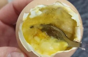 [🆕🇻🇳]  Aki – Thời Trang Bé Yêu 😎❤️️⭐️  SIÊU PHẨM CẬP BẾN
Em về mẫu bộ siêu xinh, siêu dễ thương
Form dáng cực đỉnh, năng động, dễ mặc vô cùng
Ba Mẹ (.) hoặc ib, Shop tư vấn nhiệt tình nhé , shares-0✔️ , likes-22❤️️ , date-2024-10-30 22:36:57🇻🇳🇻🇳🇻🇳📰🆕