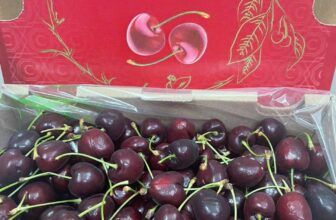 [🆕🇻🇳] Hoa Quả 4Mùa – Cửa hàng rau quả 🍔 Top1Food  🍜  Siêu phẩm#CHERRY_Chile e về chuyến đầu tiên #429k/ kg500g giá 215kCherry Chile JD
Cứng quả – Giòn ngọt- cuống tươi, đậm vị==================
, shares-0✔️ , likes-0❤️️ , date-2024-11-25 20:55:50🇻🇳🇻🇳🇻🇳📰🆕