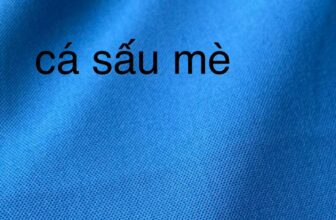 [???] Connect & Inspire Yoga ? Top1Yoga ??‍♀️ Vững kiến thức, vững kỹ thuật, đạo đức và kỷ luật cũng là một trong những trách nhiệm của người làm nghề trên con đường Yoga trị liệu.
#ci_yoga_therapy , shares-2✔️ , likes-27❤️️ , date-2024-10-27 17:00:16????????