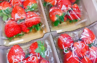 [🆕🇻🇳] Paul’s Healthy Fruits – Cửa hàng rau quả 🍔 Top1Food  🍜 Hot quá . DÂU NHẬT NGỌT THƠM LỪNG  Hàng VIP đáp bay . Nhanh tay kẻo hết cả nhà ơi
, shares-0✔️ , likes-2❤️️ , date-2024-11-27 07:24:56🇻🇳🇻🇳🇻🇳📰🆕