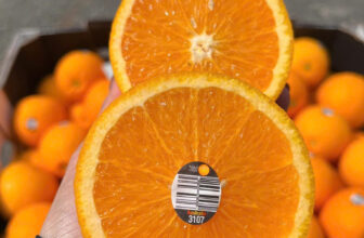 [🆕🇻🇳] F5 Fruit Shop Hồ Chí Minh-hệ thống bán lẻ Trái cây Nhập khẩu cao cấp 🍔 Top1Food  🍜 𝐂𝐀𝐌 𝐓𝐔𝐌𝐔𝐓 𝐔́𝐂 𝐌𝐎̛́𝐈 𝐕𝐄̂̀ 𝐇𝐀̀𝐍𝐆𝟗𝟓𝐊/𝐊𝐆
Combo 2kg : 1⃣ 7⃣ 5⃣
Sáng mã, đài tươi, trái to, tép đều, mọng nước,
Vị ngọt thanh mát, không h , shares-0✔️ , likes-1❤️️ , date-2024-11-28 21:17:04🇻🇳🇻🇳🇻🇳📰🆕