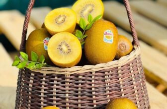 [🆕🇻🇳] Hoa Quả 4Mùa – Cửa hàng rau quả 🍔 Top1Food  🍜  𝐊𝐈𝐖𝐈 𝐕𝐀̀𝐍𝐆 𝐍𝐄𝐖 𝐙𝐄𝐀𝐋𝐀𝐍𝐃
Kiwi vàng New Zealand ,Trái cứng, mã sáng đẹpchỉ #109k/ hộp ( size ViP ) 215k/ kgKiwi vàng, cứng tráiLoại quả ngon số 1  , shares-0✔️ , likes-0❤️️ , date-2024-11-27 18:38:02🇻🇳🇻🇳🇻🇳📰🆕