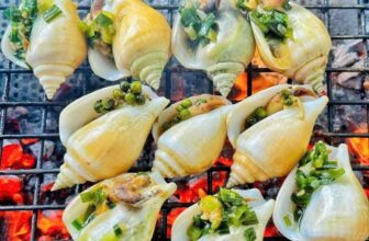 [🆕🇻🇳] Boss Seafood Vietnam – chuỗi nhà hàng chuyên các món Hải Sản 🍔 Top1Food  🍜 Ốc nhảy cái cồ  phan thiết giòn ngọt
Size khủng 20 con đến 30 con 1kg
Menu chiều nay Boss phục vụ đủ các món ốc to bự béo ú đến 24h
Nhà mình ghé hoặc inb , shares-1✔️ , likes-0❤️️ , date-2024-11-29 01:41:45🇻🇳🇻🇳🇻🇳📰🆕