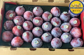 [🆕🇻🇳] Khả Hân Fresh Fruit – Sầu Riêng 6 Hữu 🍔 Top1Food  🍜  𝐌𝐀̣̂𝐍 𝐌𝐘̃ 𝐅𝐀𝐌𝐈𝐋𝐘 𝐓𝐑𝐄𝐄 𝐂𝐔̛̣𝐂 𝐕𝐈𝐏 𝐓𝐔̛𝐎̛𝐈 𝐂𝐔̛́𝐍𝐆, 𝐆𝐈𝐎̀𝐍 𝐍𝐆𝐎̣𝐓 𝐋𝐈̣𝐌 𝐒𝐈𝐄̂𝐔
Ngon bá cháy bọ chét khách ui
NGỌT LỊM, hậu có xíu chua rất nhẹ, ăn hông ngán, d , shares-0✔️ , likes-0❤️️ , date-2024-11-29 20:44:00🇻🇳🇻🇳🇻🇳📰🆕