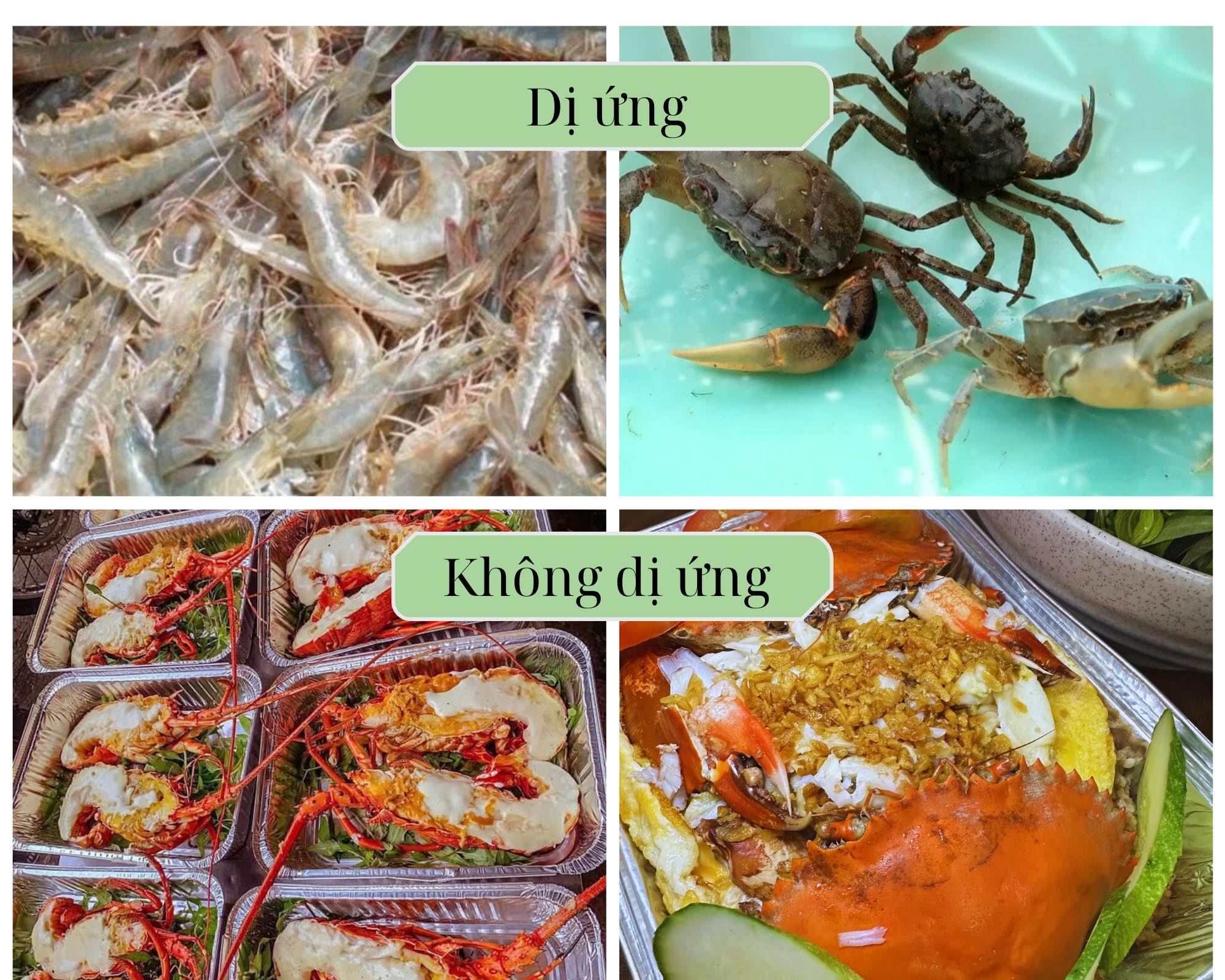 [🆕🇻🇳] Ốc Kênh Tẻ – Chuyên phục vụ các loại nghêu, sò, ốc tươi ngon các loại 🍔 Top1Food  🍜 Một số người kiểu:
 , shares-1✔️ , likes-6❤️️ , date-2024-11-30 18:36:26🇻🇳🇻🇳🇻🇳📰🆕