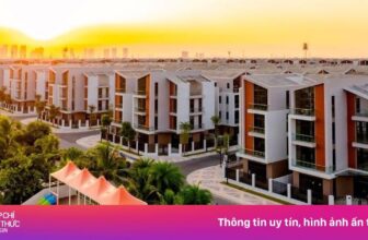 [🏘🇻🇳] Vinhomes là Công ty Kinh doanh và Quản lý bất động sản của Tập đoàn Vingroup 🏙 Top1Land 🏘 – www.facebook.com