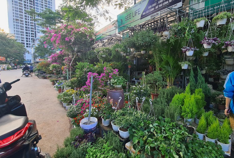 Chợ hoa đêm ở Hà Nội ngày tết nổi tiếng. Chợ hoa Vạn Phúc